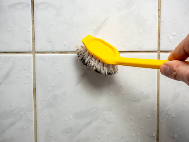 Best Professional Mold Removal  in Norristown, PA
