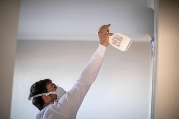 Norristown, PA Mold Removal Company