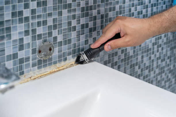Best Residential Mold Removal  in Norristown, PA