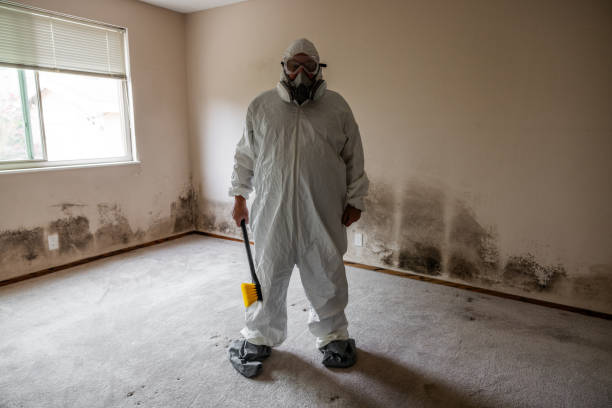 Certified Mold Removal in Norristown, PA